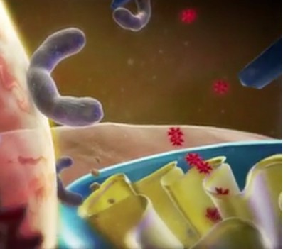 ASEA balanced redox